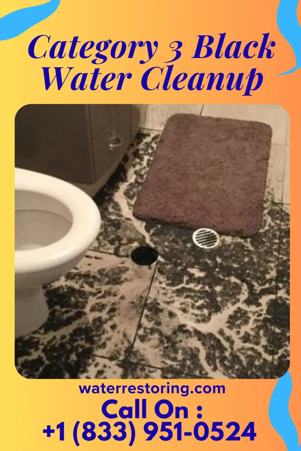 Category 3 Black Water Cleanup in Thornville, OH