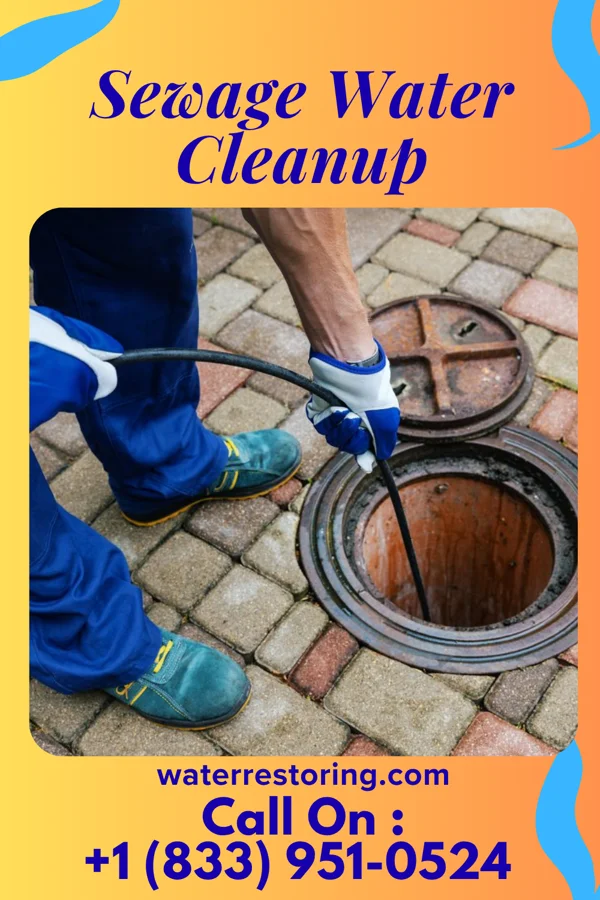 Sewage Water Cleanup in Thornville, OH