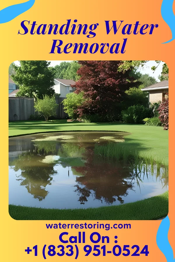 Standing Water Removal in Thornville, OH